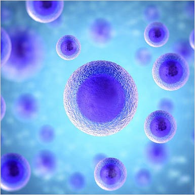 Orthobiological-treatments-image