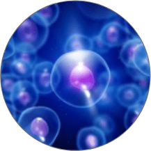 STIMULATES-A-NATURAL-HEALING-REPONSE-BY-YOUR-OWN-CELLS-image