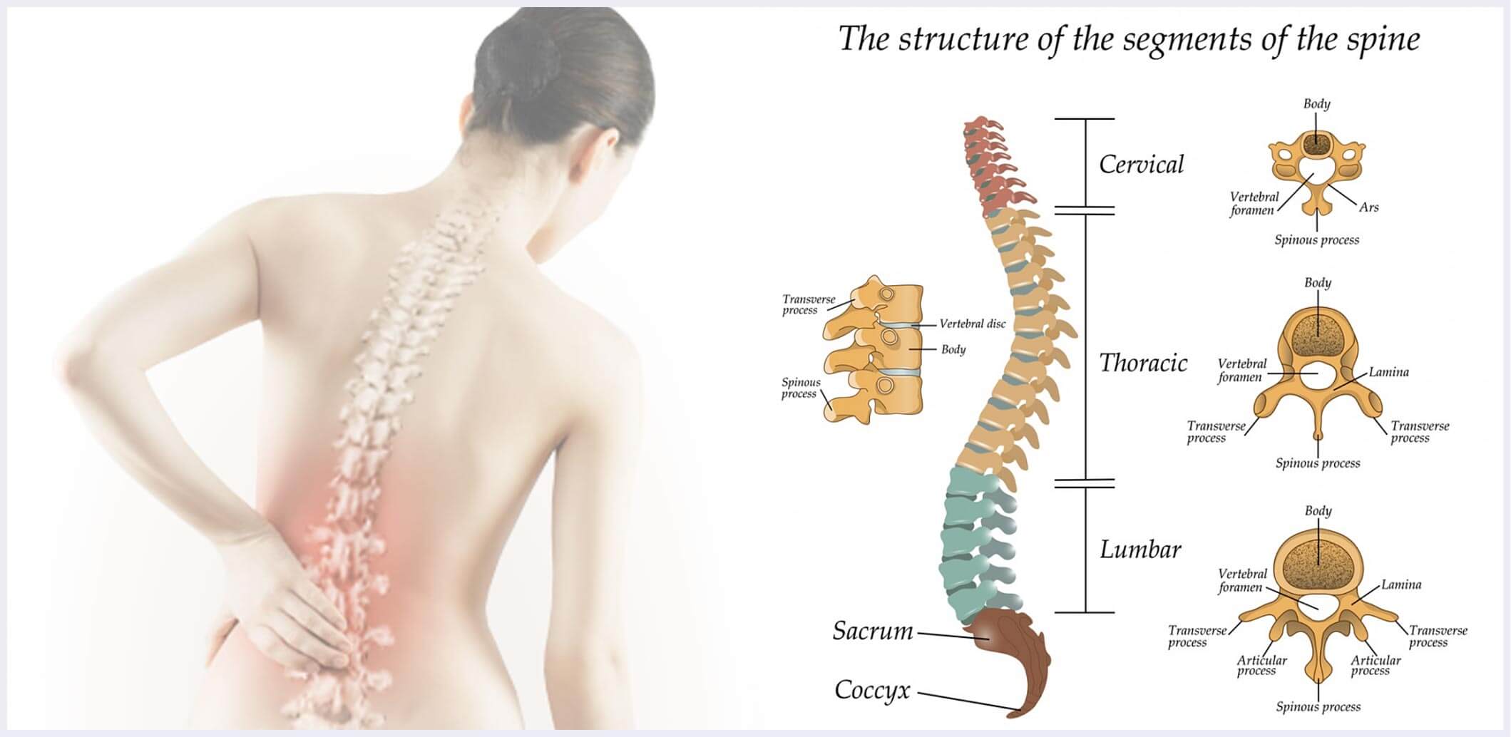 Non surgical back pain treatment